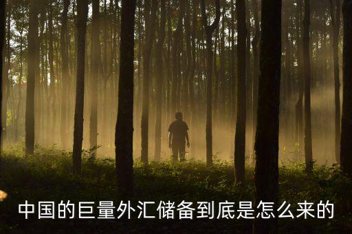 中國的巨量外匯儲(chǔ)備到底是怎么來的
