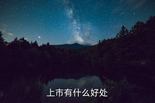上市有什么好處，上市公司有什么好處