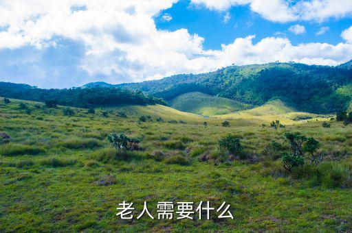老百姓需要什么，老人需要什么
