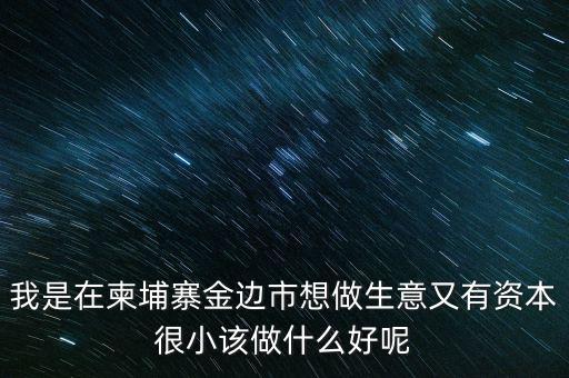 柬埔寨投資100萬元能干什么，我是在柬埔寨金邊市想做生意又有資本很小該做什么好呢