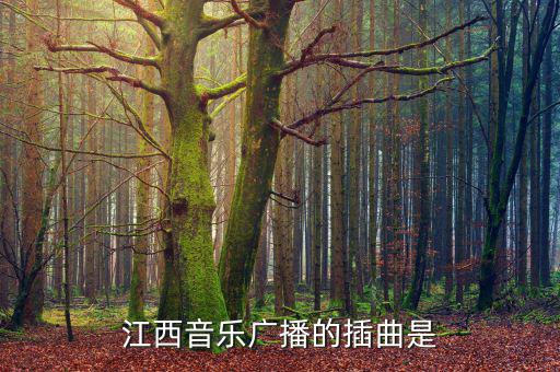 江西高速之歌是什么，江西音樂(lè)廣播的插曲是