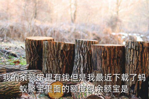 有什么軟件像存金寶那樣的，類似支付寶的理財產品有哪些