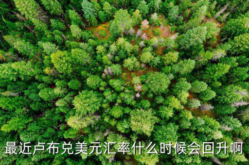 盧布什么時候能回升，最近盧布兌美元匯率什么時候會回升啊