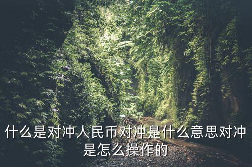 什么是基金a基金b對(duì)沖，什么是對(duì)沖人民幣對(duì)沖是什么意思對(duì)沖是怎么操作的