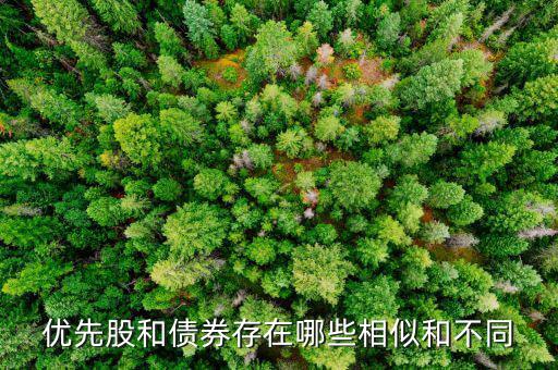 境外優(yōu)先股是什么，優(yōu)先股試點(diǎn)是什么說的詳細(xì)點(diǎn)