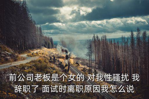 李維金為什么辭職，前公司老板是個(gè)女的 對我性騷擾 我辭職了 面試時(shí)離職原因我怎么說