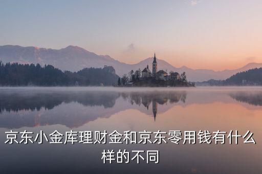 京東小金庫(kù)理財(cái)金和京東零用錢(qián)有什么樣的不同