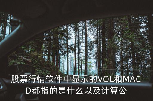 股票行情軟件中顯示的VOL和MACD都指的是什么以及計算公