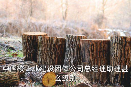 中國(guó)核工業(yè)集團(tuán)什么級(jí)別，中國(guó)核工業(yè)建設(shè)團(tuán)體公司總經(jīng)理助理甚么級(jí)別