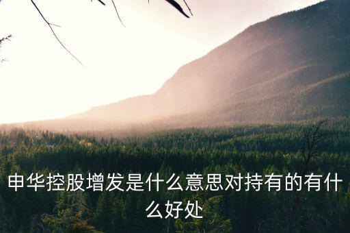 申華控股是什么板塊，申華控股怎么樣