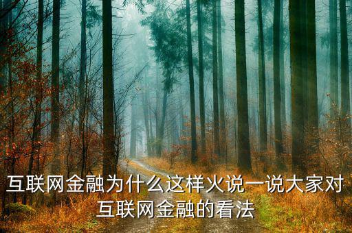 互聯(lián)網(wǎng)金融為什么這樣火說一說大家對(duì)互聯(lián)網(wǎng)金融的看法