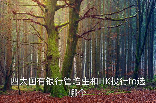 四大去投行有什么優(yōu)勢，女 研究生畢業(yè)想進投行 考研想考北大 清華 復旦或者香港大學 請問這四