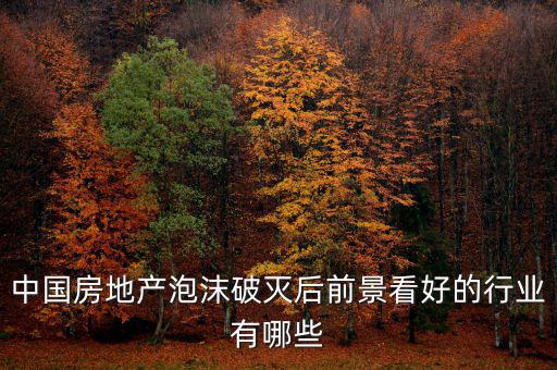 房地產(chǎn)泡沫后什么行業(yè)賺錢，如果真有一天中國房地產(chǎn)泡沫破了我們做點什么賺錢呢或者說有