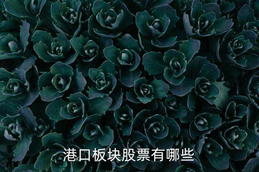 福建有什么港口股票，福建有哪些優(yōu)良的港口