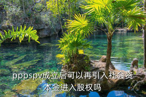 pppspv成立后可以再引入社會資本金進(jìn)入股權(quán)嗎