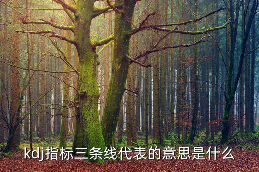 股票過頭是什么意思，關(guān)于股票的一些問題