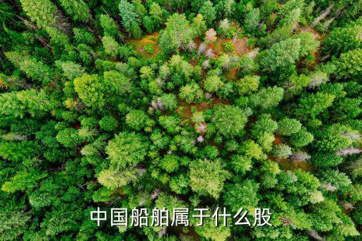 中國(guó)船舶屬于什么股