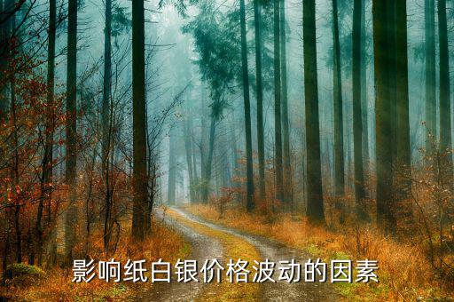 影響紙白銀價(jià)格波動的因素
