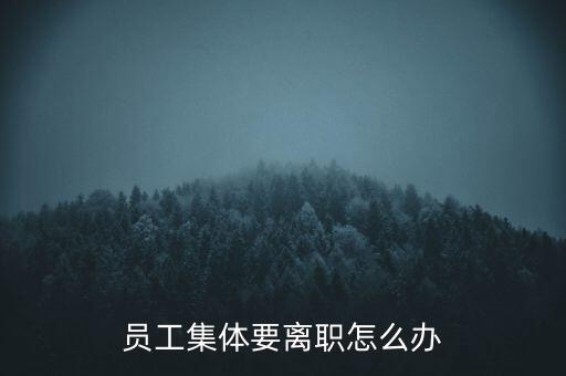 銷售團(tuán)隊集體辭職怎么辦,公司里掛個監(jiān)事經(jīng)理總裁有什么不好?