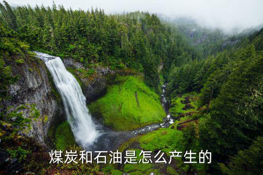 石墨礦怎么形成,石墨最常見于大理石、片巖或砂麻巖中