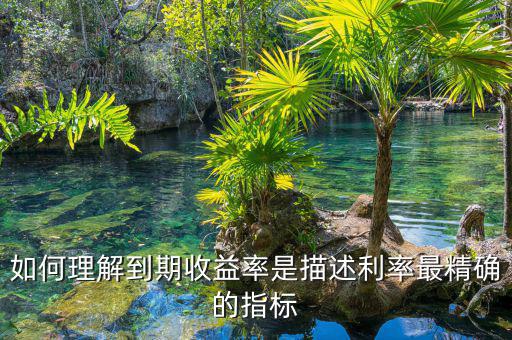 衡量利率最精確的指標(biāo)通常是什么，什么是一個(gè)很好的債券利率風(fēng)險(xiǎn)衡量指標(biāo)