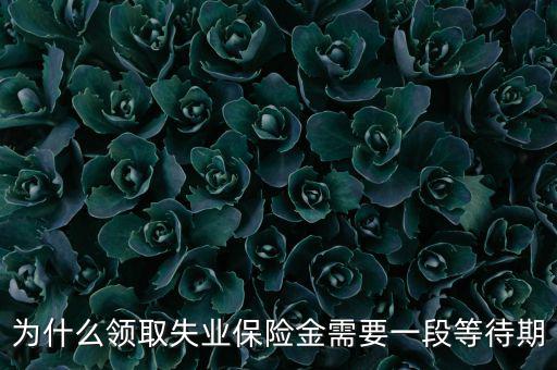 失業(yè)保險(xiǎn)為什么應(yīng)設(shè)等待期限，為什么領(lǐng)取失業(yè)保險(xiǎn)金需要一段等待期