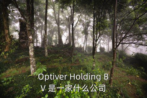 什么是nyme原油，Optiver Holding BV 是一家什么公司