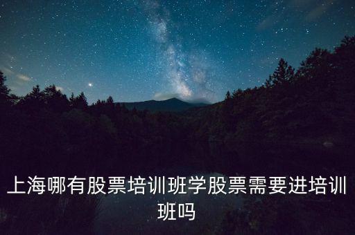 上海哪有股票培訓(xùn)班學(xué)股票需要進培訓(xùn)班嗎