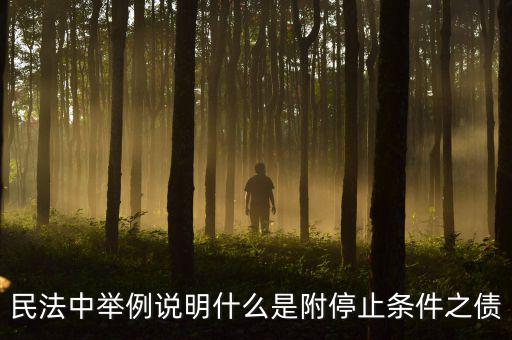 附停止條件的合同是什么意思，請教一下 怎么理解附條件和附期限合同啊 最好舉個例子 萬分感謝  搜