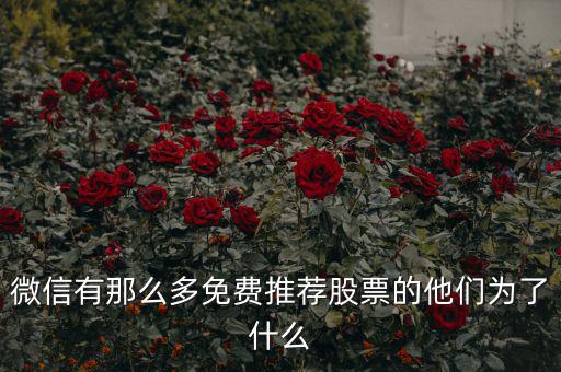 免費(fèi)股票為什么，微信有那么多免費(fèi)推薦股票的他們?yōu)榱耸裁?/></a></span><span id=