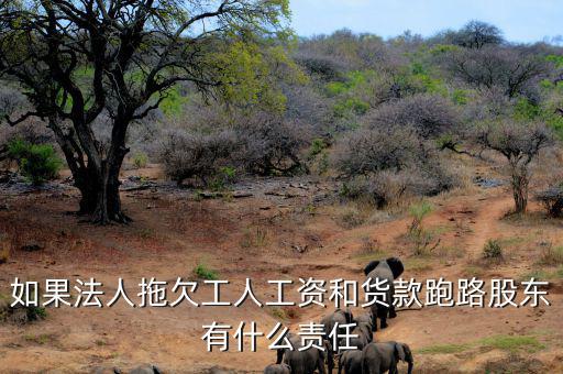 法人跑路屬于什么罪，申請(qǐng)勞動(dòng)仲裁被告用人單位法人代表逃跑了怎么辦他將背負(fù)什么罪
