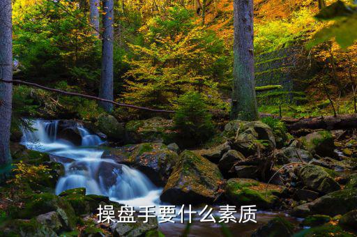 操盤手有什么要求，操盤手要什么素質(zhì)