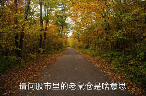 股市老鼠倉(cāng)什么意思，股票 老鼠倉(cāng)是什么意思