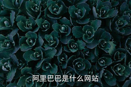 阿里巴巴是什么網(wǎng)站，阿里巴巴是什么網(wǎng)站