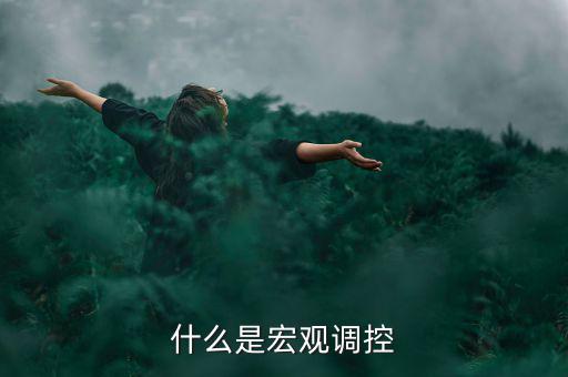 宏觀調控的定義是什么，怎么理解宏觀調控