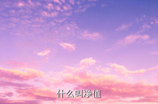 什么是凈值類理財(cái)產(chǎn)品，凈值型理財(cái)產(chǎn)品是什么意思