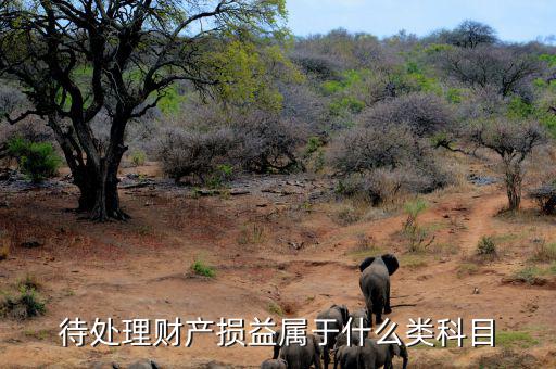 待財(cái)產(chǎn)處理?yè)p益是什么類科目，待處理財(cái)產(chǎn)損益屬于哪一類科目