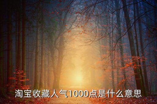 1000點(diǎn)2000點(diǎn)什么意思，加拿大簽證中1000 2000什么意思