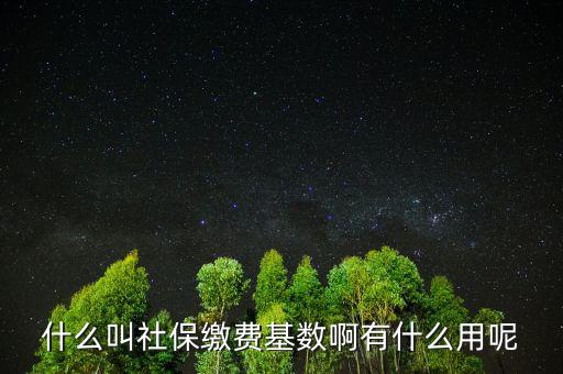社保繳費(fèi)基數(shù)有什么用，什么叫社保繳費(fèi)基數(shù)啊有什么用呢
