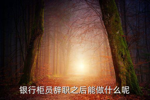 銀行辭職后做什么，銀行柜員辭職之后能做什么呢
