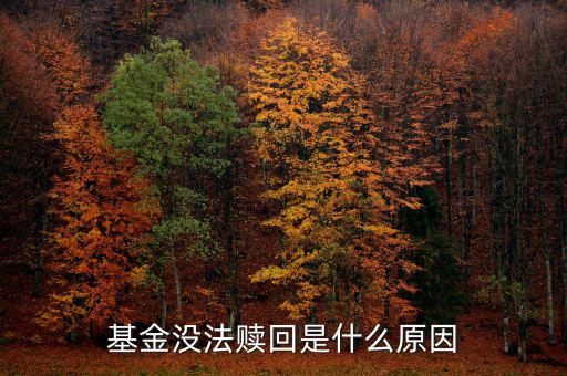 為什么基金不能贖回，為什么我的基金不能贖回