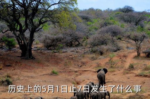 史上5月1日發(fā)生了什么，歷史上的5月1日止7日發(fā)生了什么事