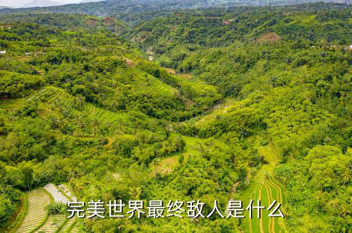 什么是對手盤，完美世界最終敵人是什么