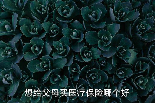 給父母買什么醫(yī)療保險(xiǎn)好，想給父母買醫(yī)療保險(xiǎn)哪個(gè)好