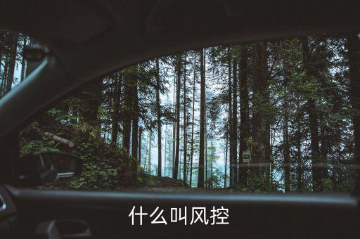 易到風控什么意思，什么叫風控