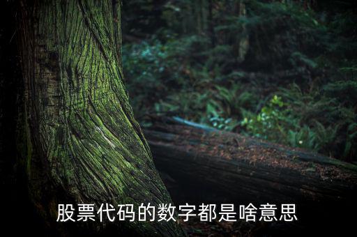 股票名稱下面的數(shù)字是什么，請教高手股票名稱后面的那些數(shù)字代表什么意思