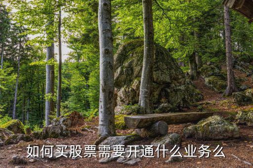 買股票到銀行開通什么業(yè)務(wù)，炒股票需要什么銀行卡銀行卡要開通什么