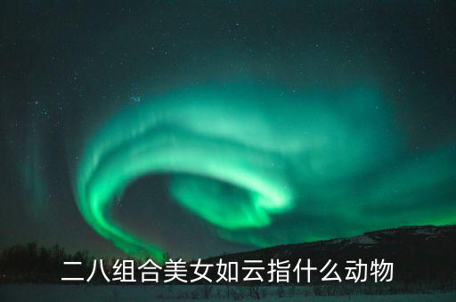 二八組合是什么意思，二八是什么意思