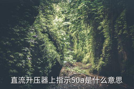 上證50a什么意思，招商央視財(cái)經(jīng)50a后面的a什么意思