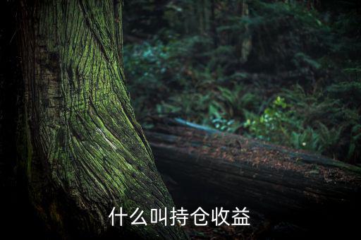 理財(cái)里的持倉(cāng)收益是什么意思，基金 持倉(cāng)收益7579 是什么意思啊 本人是新手